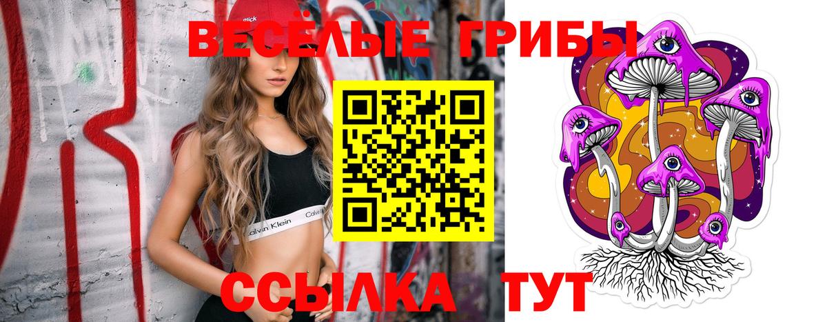 Псилоцибиновые грибы GOLDEN TEACHER  Вход с VPN  Губкинский 